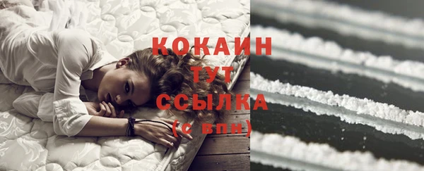 дурь Алексин