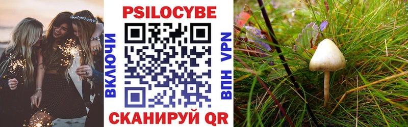 Псилоцибиновые грибы Magic Shrooms  Красногорск 