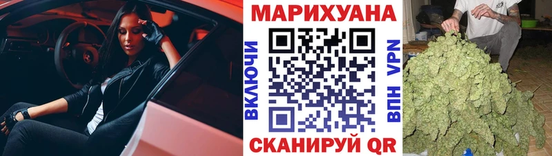купить   Красногорск  Бошки Шишки семена 